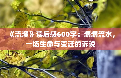 《流溪》读后感600字：潺潺流水，一场生命与变迁的诉说