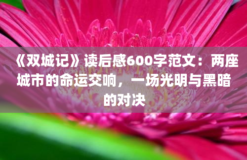 《双城记》读后感600字范文：两座城市的命运交响，一场光明与黑暗的对决