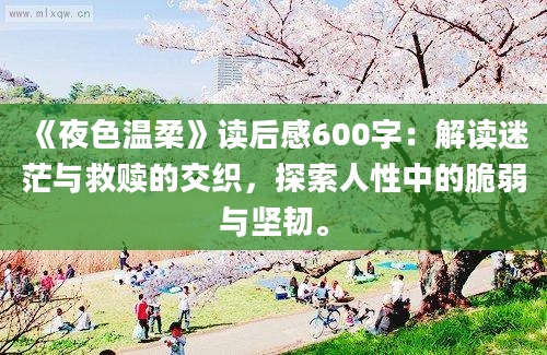 《夜色温柔》读后感600字：解读迷茫与救赎的交织，探索人性中的脆弱与坚韧。