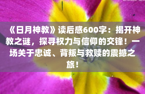 《日月神教》读后感600字：揭开神教之谜，探寻权力与信仰的交锋！一场关于忠诚、背叛与救赎的震撼之旅！