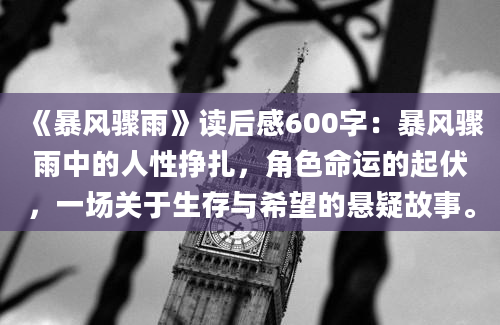 《暴风骤雨》读后感600字：暴风骤雨中的人性挣扎，角色命运的起伏，一场关于生存与希望的悬疑故事。