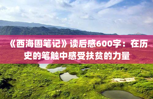 《西海固笔记》读后感600字：在历史的笔触中感受扶贫的力量