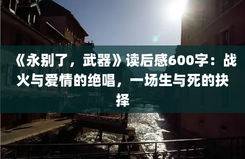 《永别了，武器》读后感600字：战火与爱情的绝唱，一场生与死的抉择