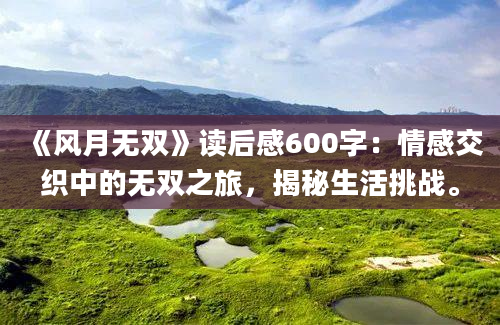 《风月无双》读后感600字：情感交织中的无双之旅，揭秘生活挑战。