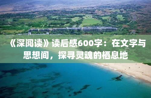 《深阅读》读后感600字：在文字与思想间，探寻灵魂的栖息地