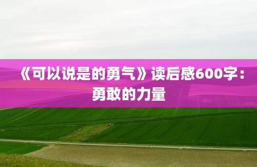 《可以说是的勇气》读后感600字：勇敢的力量