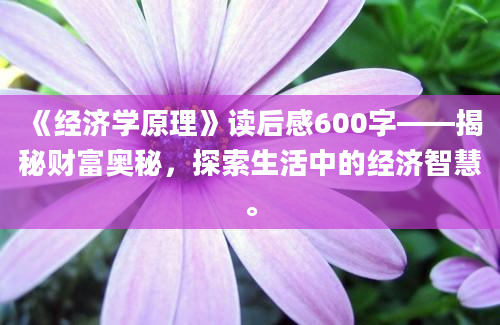 《经济学原理》读后感600字——揭秘财富奥秘，探索生活中的经济智慧。