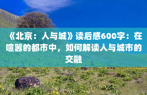 《北京：人与城》读后感600字：在喧嚣的都市中，如何解读人与城市的交融