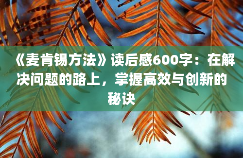 《麦肯锡方法》读后感600字：在解决问题的路上，掌握高效与创新的秘诀