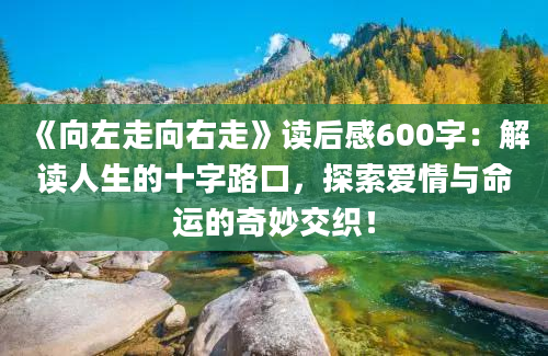 《向左走向右走》读后感600字：解读人生的十字路口，探索爱情与命运的奇妙交织！