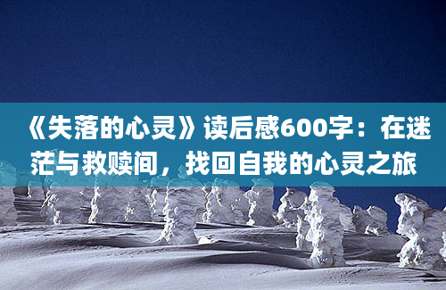 《失落的心灵》读后感600字：在迷茫与救赎间，找回自我的心灵之旅