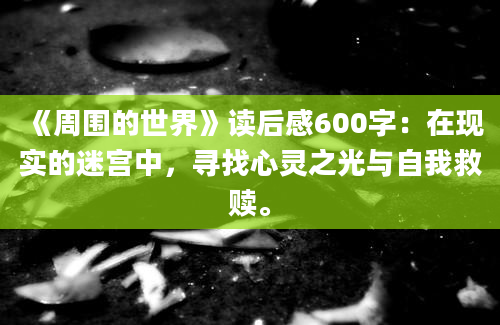 《周围的世界》读后感600字：在现实的迷宫中，寻找心灵之光与自我救赎。