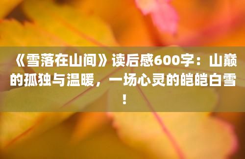 《雪落在山间》读后感600字：山巅的孤独与温暖，一场心灵的皑皑白雪！