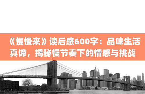 《慢慢来》读后感600字：品味生活真谛，揭秘慢节奏下的情感与挑战