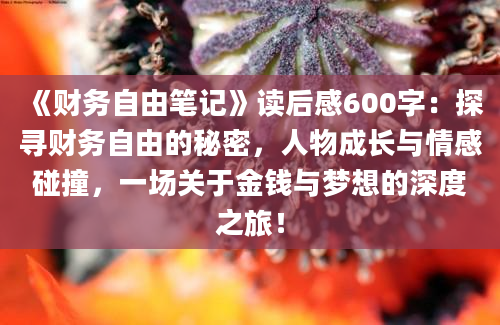 《财务自由笔记》<a href=https://www.baixuetang.com target=_blank class=infotextkey>读后感</a>600字：探寻财务自由的秘密，人物成长与情感碰撞，一场关于金钱与梦想的深度之旅！