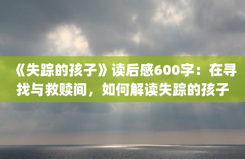 《失踪的孩子》读后感600字：在寻找与救赎间，如何解读失踪的孩子