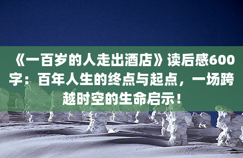 《一百岁的人走出酒店》读后感600字：百年人生的终点与起点，一场跨越时空的生命启示！