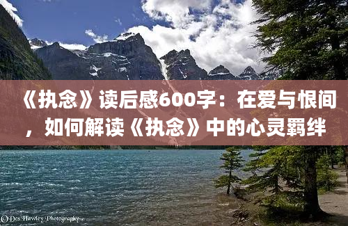 《执念》读后感600字：在爱与恨间，如何解读《执念》中的心灵羁绊