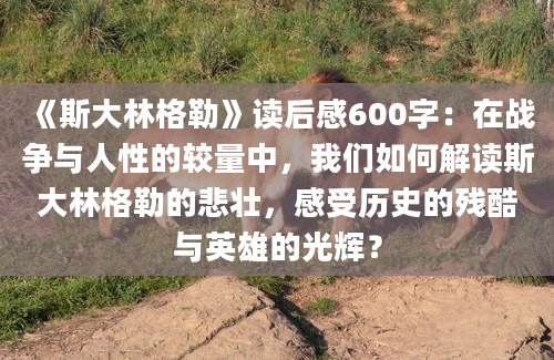 《斯大林格勒》读后感600字：在战争与人性的较量中，我们如何解读斯大林格勒的悲壮，感受历史的残酷与英雄的光辉？