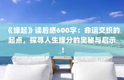 《缘起》读后感600字：命运交织的起点，探寻人生缘分的奥秘与启示！