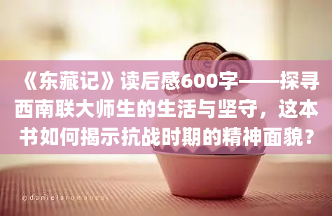 《东藏记》读后感600字——探寻西南联大师生的生活与坚守，这本书如何揭示抗战时期的精神面貌？