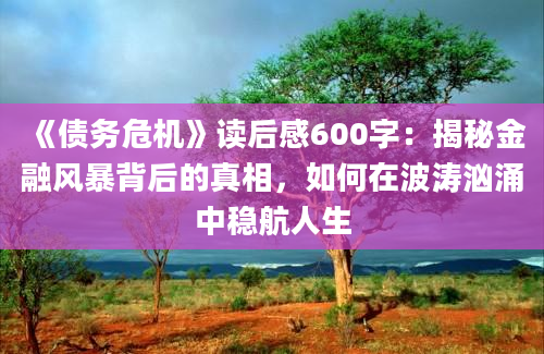 《债务危机》读后感600字：揭秘金融风暴背后的真相，如何在波涛汹涌中稳航人生