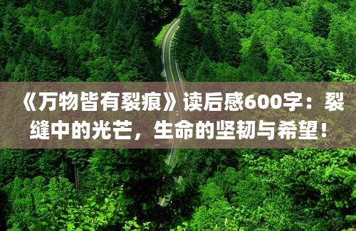 《万物皆有裂痕》读后感600字：裂缝中的光芒，生命的坚韧与希望！