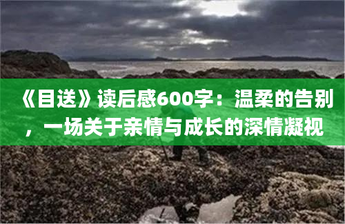 《目送》读后感600字：温柔的告别，一场关于亲情与成长的深情凝视