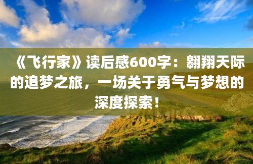 《飞行家》读后感600字：翱翔天际的追梦之旅，一场关于勇气与梦想的深度探索！