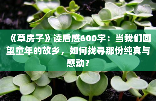 《草房子》读后感600字：当我们回望童年的故乡，如何找寻那份纯真与感动？