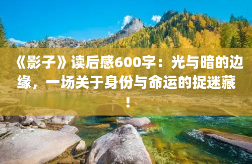 《影子》读后感600字：光与暗的边缘，一场关于身份与命运的捉迷藏！