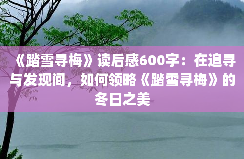 《踏雪寻梅》读后感600字：在追寻与发现间，如何领略《踏雪寻梅》的冬日之美