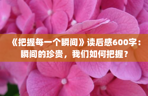 《把握每一个瞬间》读后感600字：瞬间的珍贵，我们如何把握？