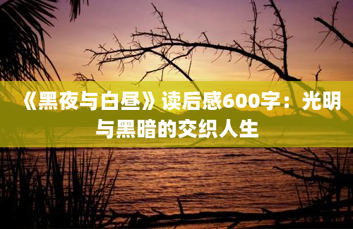 《黑夜与白昼》读后感600字：光明与黑暗的交织人生