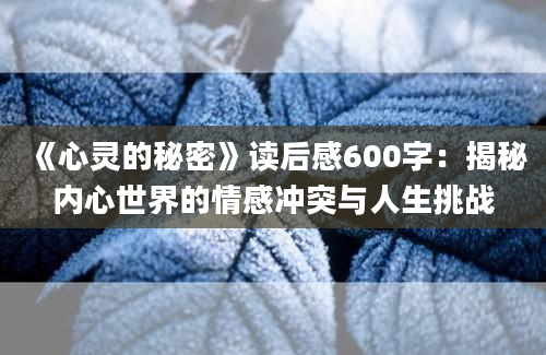 《心灵的秘密》读后感600字：揭秘内心世界的情感冲突与人生挑战