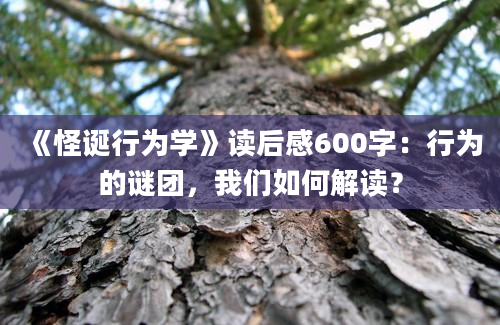 《怪诞行为学》读后感600字：行为的谜团，我们如何解读？