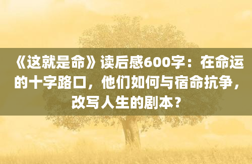 《这就是命》读后感600字：在命运的十字路口，他们如何与宿命抗争，改写人生的剧本？