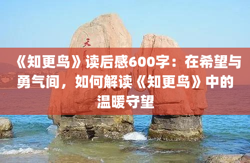 《知更鸟》读后感600字：在希望与勇气间，如何解读《知更鸟》中的温暖守望