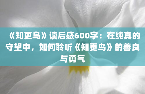 《知更鸟》读后感600字：在纯真的守望中，如何聆听《知更鸟》的善良与勇气