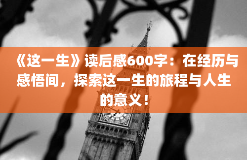 《这一生》读后感600字：在经历与感悟间，探索这一生的旅程与人生的意义！