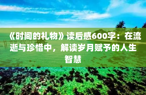 《时间的礼物》读后感600字：在流逝与珍惜中，解读岁月赋予的人生智慧