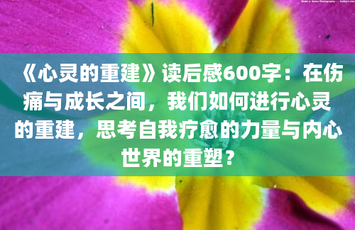 《心灵的重建》读后感600字：在伤痛与成长之间，我们如何进行心灵的重建，思考自我疗愈的力量与内心世界的重塑？