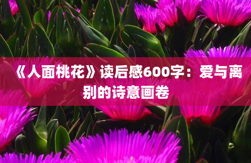 《人面桃花》读后感600字：爱与离别的诗意画卷