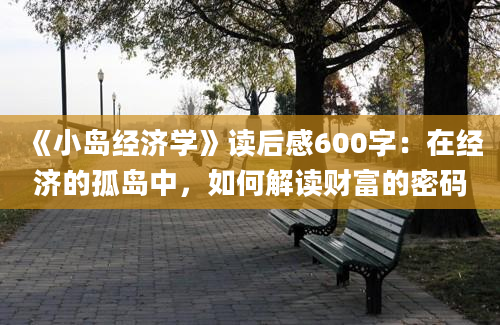 《小岛经济学》读后感600字：在经济的孤岛中，如何解读财富的密码