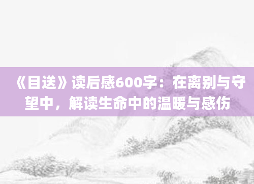 《目送》读后感600字：在离别与守望中，解读生命中的温暖与感伤