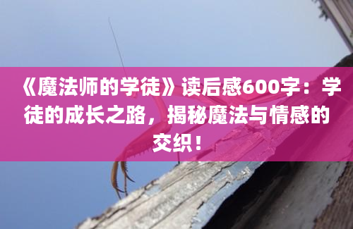 《魔法师的学徒》读后感600字：学徒的成长之路，揭秘魔法与情感的交织！