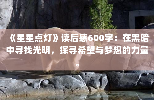 《星星点灯》读后感600字：在黑暗中寻找光明，探寻希望与梦想的力量。