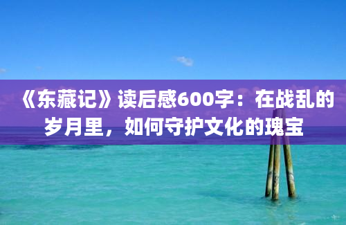 《东藏记》读后感600字：在战乱的岁月里，如何守护文化的瑰宝