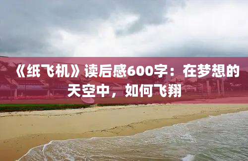 《纸飞机》读后感600字：在梦想的天空中，如何飞翔