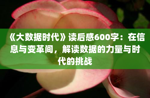 《大数据时代》读后感600字：在信息与变革间，解读数据的力量与时代的挑战